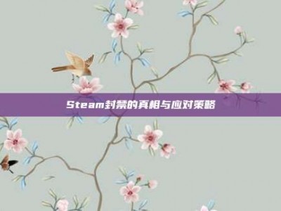 Steam封禁的真相与应对策略