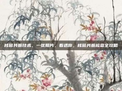 核磁共振技术，一张照片，看透你，核磁共振检查全攻略