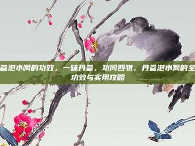 丹参泡水喝的功效，一味丹参，功同四物，丹参泡水喝的全面功效与实用攻略