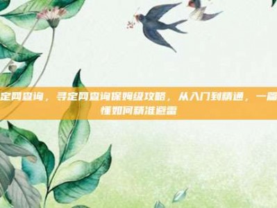 寻定网查询，寻定网查询保姆级攻略，从入门到精通，一篇搞懂如何精准避雷