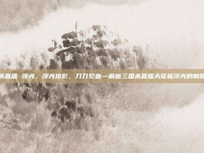 三国杀直播 浮光，浮光掠影，刀刀见血—解析三国杀直播天花板浮光的制胜攻略