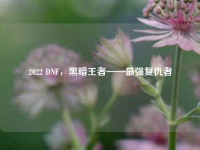 2022 DNF，黑暗王者——最强复仇者
