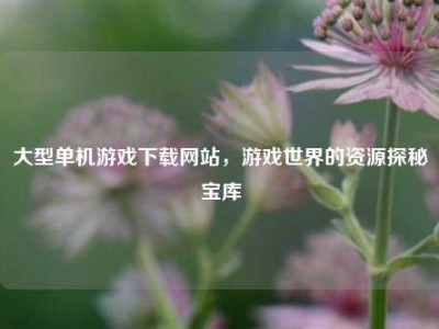 大型单机游戏下载网站，游戏世界的资源探秘宝库