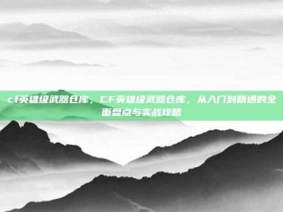 cf英雄级武器仓库，CF英雄级武器仓库，从入门到精通的全面盘点与实战攻略
