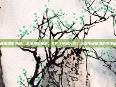 cf训练体系讲解，从菜鸟到枪王，CF（穿越火线）全维度训练体系深度讲解