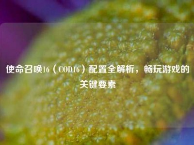 使命召唤16（COD16）配置全解析，畅玩游戏的关键要素