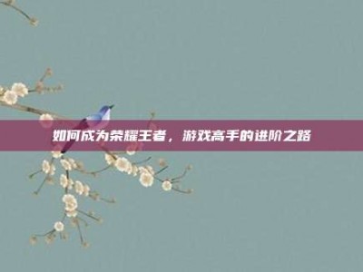 如何成为荣耀王者，游戏高手的进阶之路