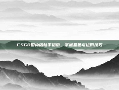 CSGO国内版新手指南，掌握基础与进阶技巧