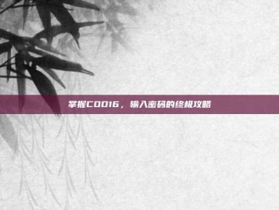 掌握COD16，输入密码的终极攻略