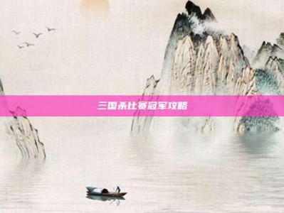 三国杀比赛冠军攻略