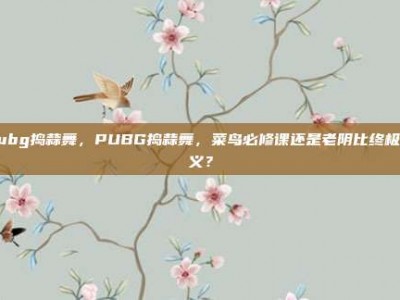 pubg捣蒜舞，PUBG捣蒜舞，菜鸟必修课还是老阴比终极奥义？