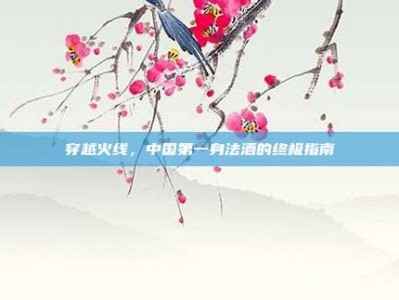穿越火线，中国第一身法酒的终极指南