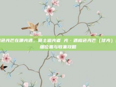 橙色光芒在哪光遇，暮土追光者 光·遇橙色光芒（球光）详细位置与收集攻略