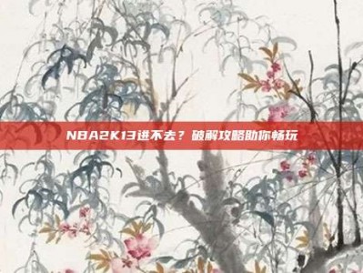 NBA2K13进不去？破解攻略助你畅玩
