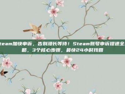steam加快申诉，告别漫长等待！Steam账号申诉提速全攻略，3个核心步骤，最快24小时找回