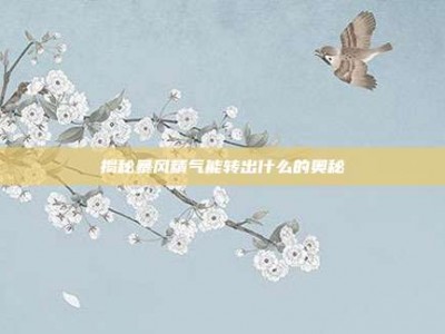 揭秘暴风精气能转出什么的奥秘