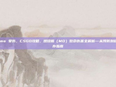 csgo mo 受伤，CSGO攻略，燃烧瓶（MO）致命伤害全解析—从预防到自救的生存指南
