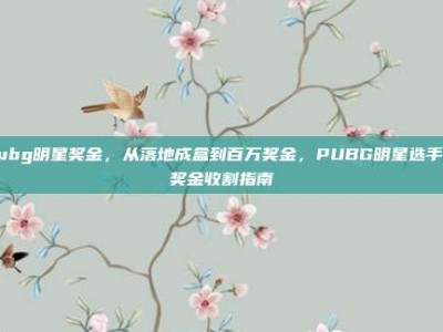 pubg明星奖金，从落地成盒到百万奖金，PUBG明星选手的奖金收割指南