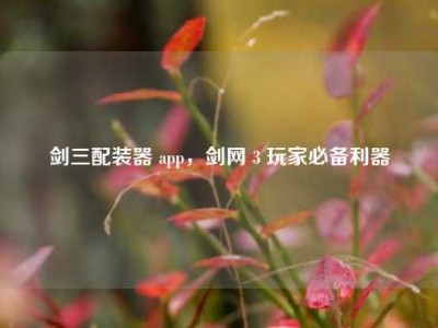 剑三配装器 app，剑网 3 玩家必备利器
