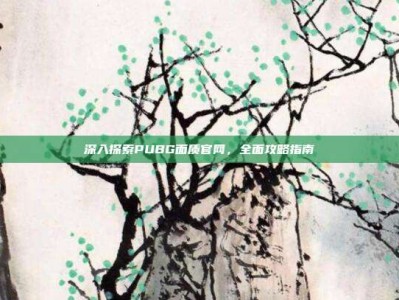 深入探索PUBG面质官网，全面攻略指南