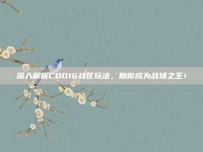 深入解析COD16战区玩法，助你成为战场之王！