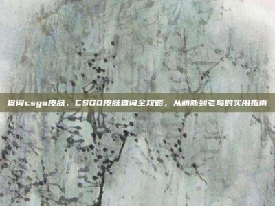 查询csgo皮肤，CSGO皮肤查询全攻略，从萌新到老鸟的实用指南