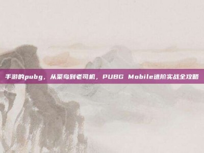 手游的pubg，从菜鸟到老司机，PUBG Mobile进阶实战全攻略