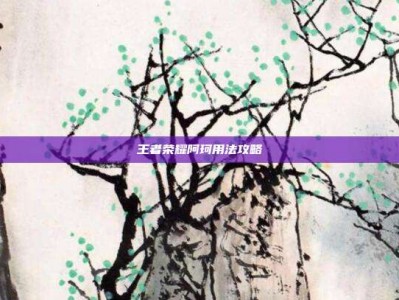 王者荣耀阿珂用法攻略