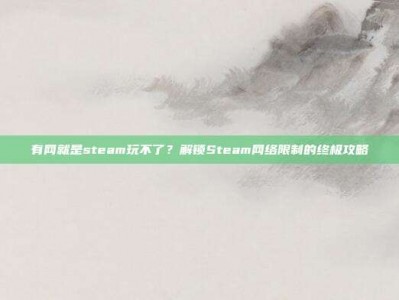 有网就是steam玩不了？解锁Steam网络限制的终极攻略