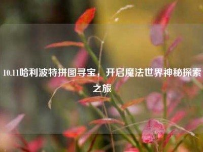 10.11哈利波特拼图寻宝，开启魔法世界神秘探索之旅