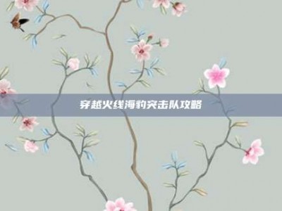 穿越火线海豹突击队攻略