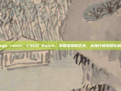 csgo ronin，CSGO Ronin，掌握孤狼的艺术，从独行侠到团队利刃