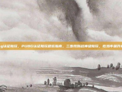 pubg认证陪玩，PUBG认证陪玩避坑指南，三步找到战神级陪玩，吃鸡率飙升80%