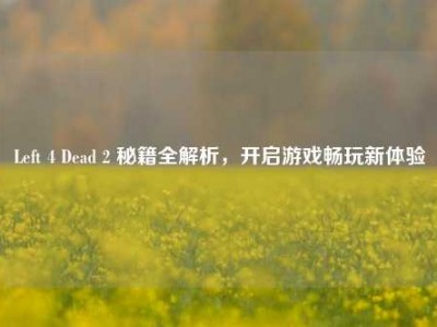 Left 4 Dead 2 秘籍全解析，开启游戏畅玩新体验