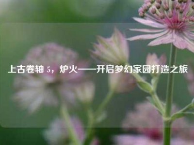 上古卷轴 5，炉火——开启梦幻家园打造之旅