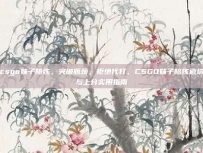 csgo妹子陪练，突破瓶颈，拒绝代打，CSGO妹子陪练避坑与上分实用指南