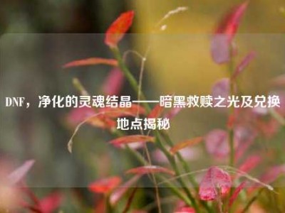 DNF，净化的灵魂结晶——暗黑救赎之光及兑换地点揭秘