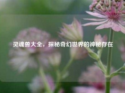 灵魂兽大全，探秘奇幻世界的神秘存在