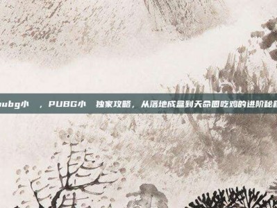pubg小玥玥，PUBG小玥玥独家攻略，从落地成盒到天命圈吃鸡的进阶秘籍