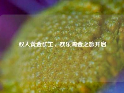 双人黄金矿工，欢乐淘金之旅开启