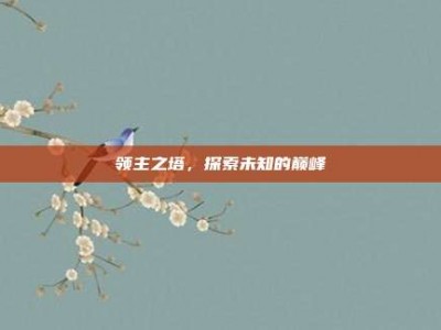 领主之塔，探索未知的巅峰
