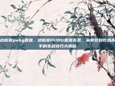 边伯贤pubg直播，边伯贤PUBG直播实录，从爱豆到吃鸡高手的实战技巧大揭秘