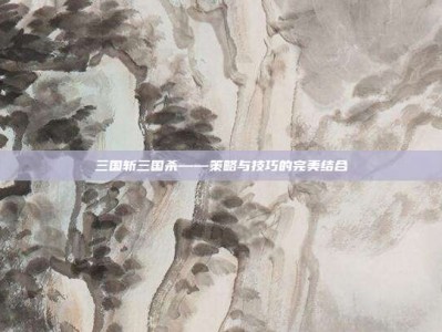 三国斩三国杀——策略与技巧的完美结合