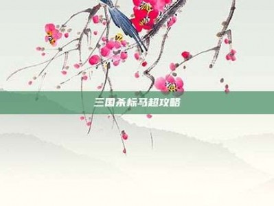 三国杀标马超攻略