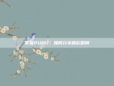 掌握PUBG，如何分享精彩瞬间