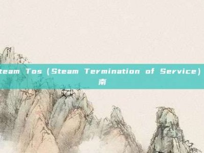 Steam Tos（Steam Termination of Service）指南