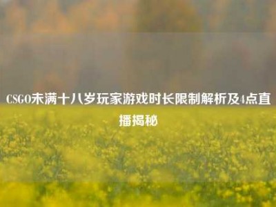 CSGO未满十八岁玩家游戏时长限制解析及4点直播揭秘