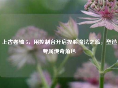 上古卷轴 5，用控制台开启捏脸魔法之旅，塑造专属传奇角色