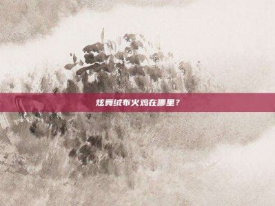 炫舞绒布火鸡在哪里？