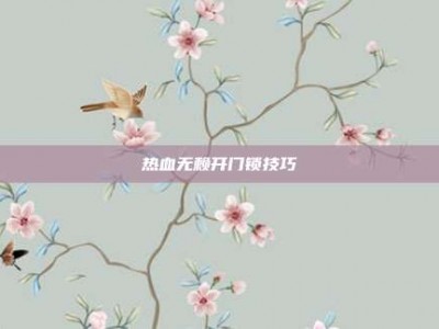 热血无赖开门锁技巧